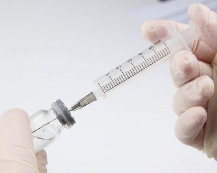 Erkinio encefalito vakcina jau nupirkta: nemokamai skiepytis bus galima nuo rugsėjo