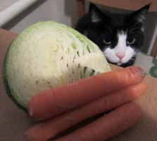 Vitaminai
