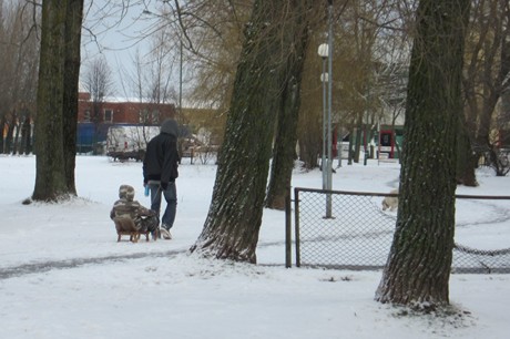 Žiema