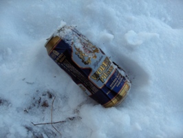 Alus