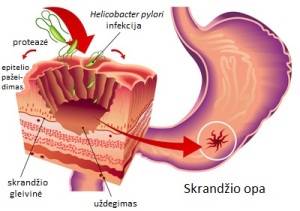 Skrandis