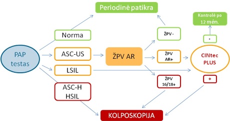 1 pav. 