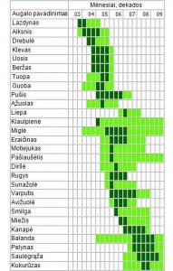 Augalų žydėjimo kalendorius