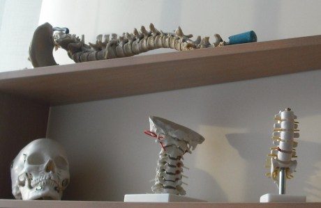 Stuburas
