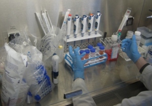 Laboratorija 