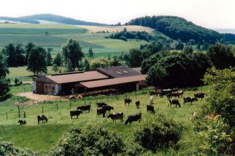 Žemdirbystė