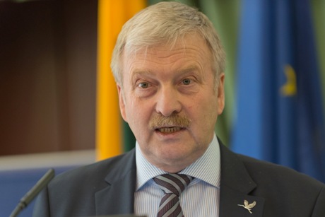 Bronis Ropė