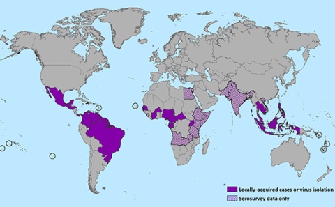 Zika viruso paplitimas