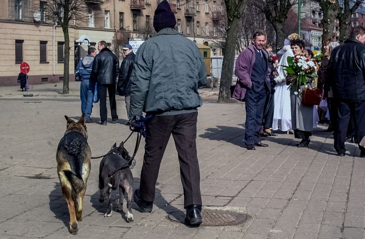 Žmogus vedasi du šunis