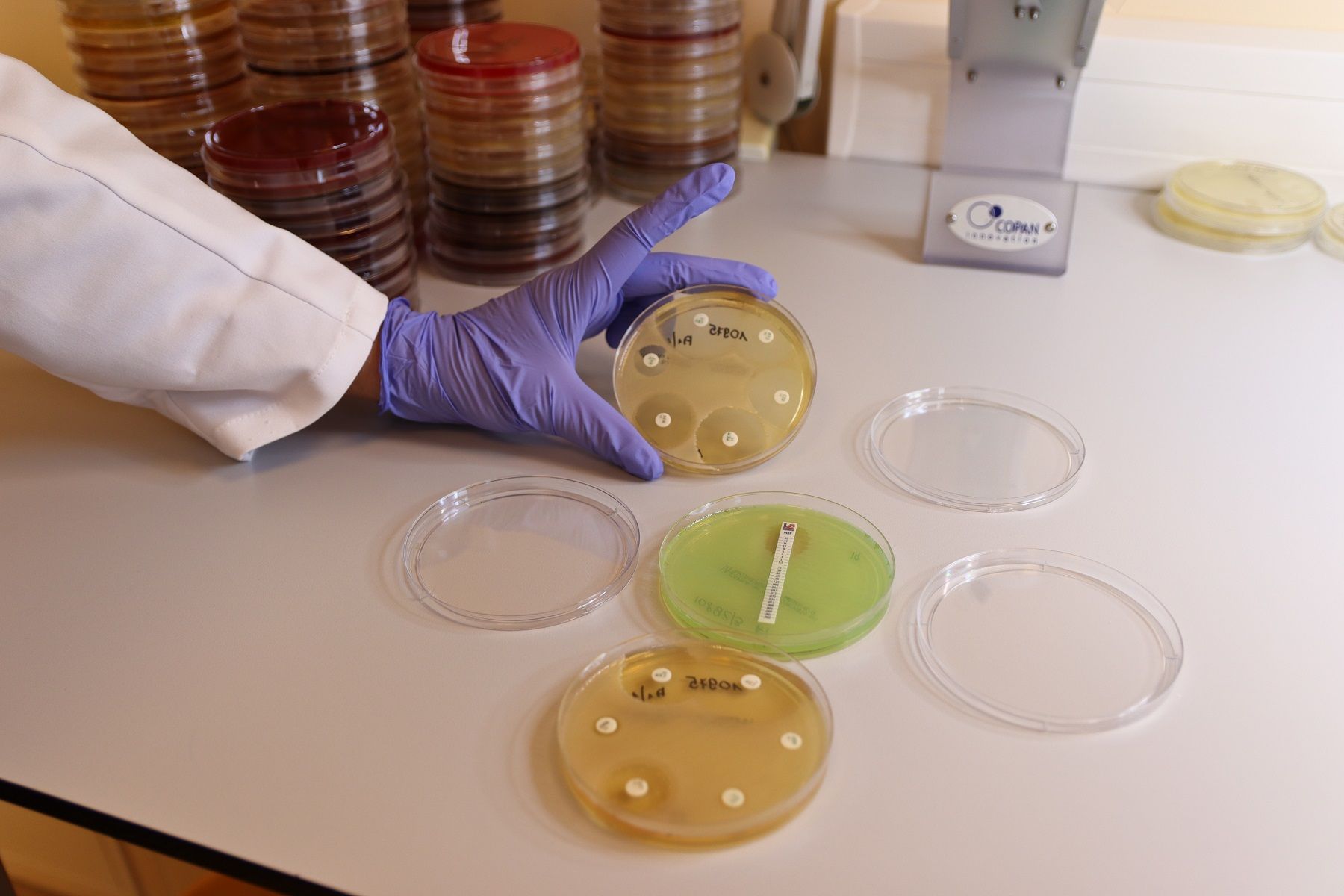 Mėginiai laboratorijoje