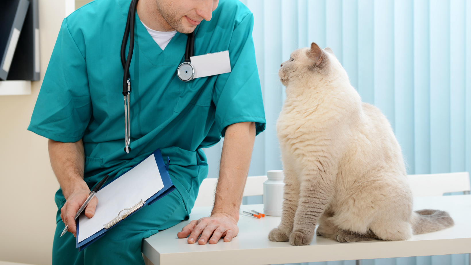 Katė pas veterinarą