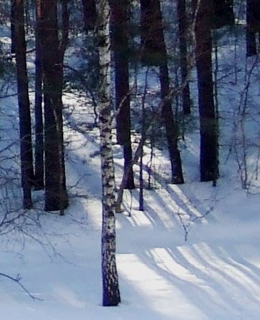 termperatūros svyravimai