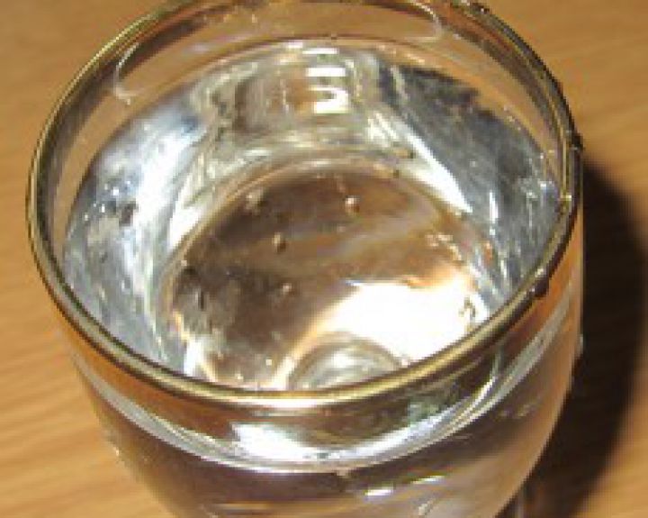 Vyrams svarbiau vandens skonis, moterims – nauda