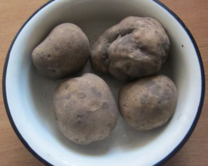 Kokias bulves valgome?