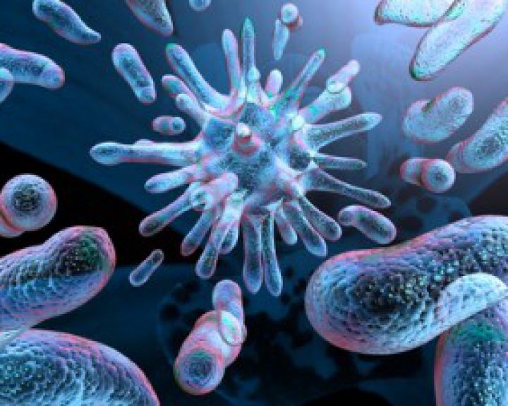 Turkijoje poilsiavę prancūzų turistai užsikrėtė pavojinga E. coli bakterija 