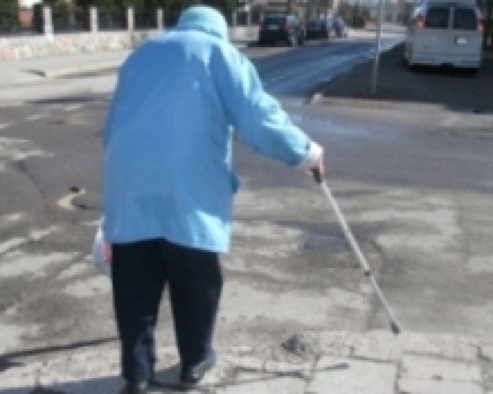Senukų slauga ir globa Lietuvoje: patobulintos rogės į mišką