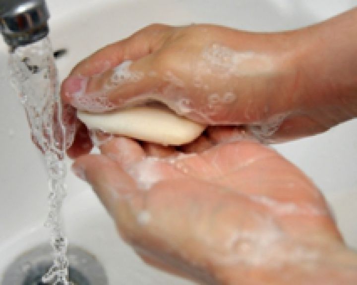 Amebiazė ir toksokarozė diagnozuota 2 metų vaikui