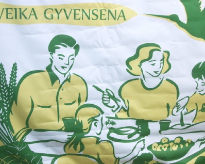 Nevyriausybininkai jau kuria Sveikatingumo metų programą