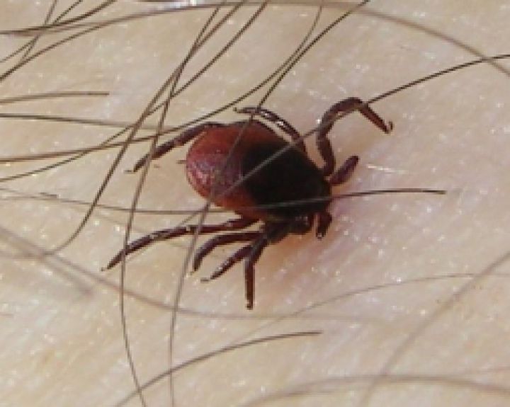 Laimo liga sugriauna gyvenimus