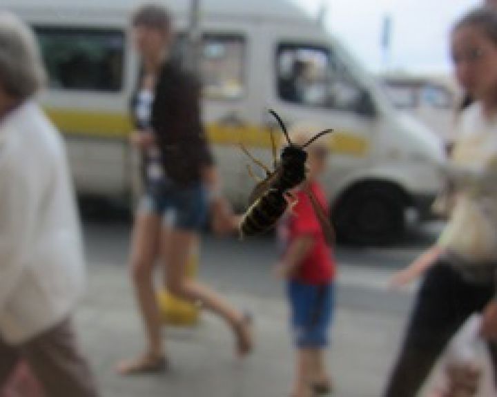 Santariškių klinikose pradėta taikyti specifinė imunoterapija su bičių, širšių ir vapsvų nuodais