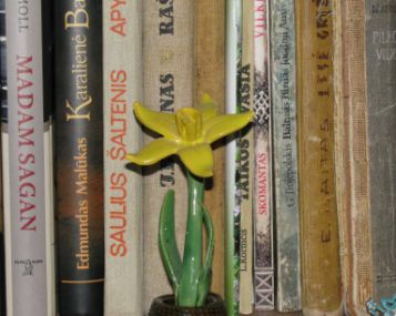 Biblioterapija – psichikos sveikatai gerinti