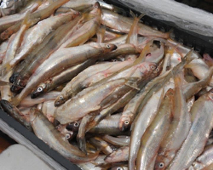 Specialistai perspėja nepirkti maisto produktų iš nelegalių prekeivių