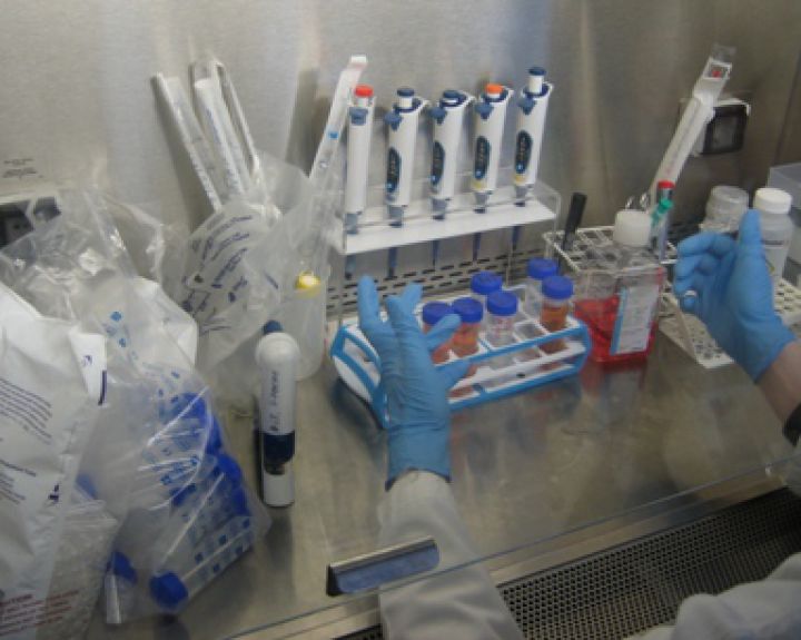 Santariškių klinikų atvejis. Taip veikia sistema 