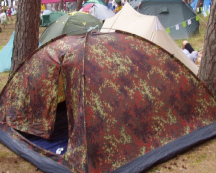 Bliuzo festivalyje apie užkrečiamųjų ligų grėsmę primins žaidimai ir viktorinos  