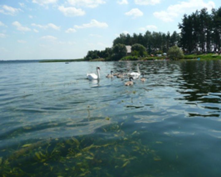 Šią vasarą švariausias maudyklų vanduo buvo Tauragės ir Telšių apskrityse 