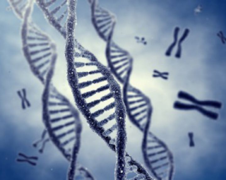 CRISPR gydymui