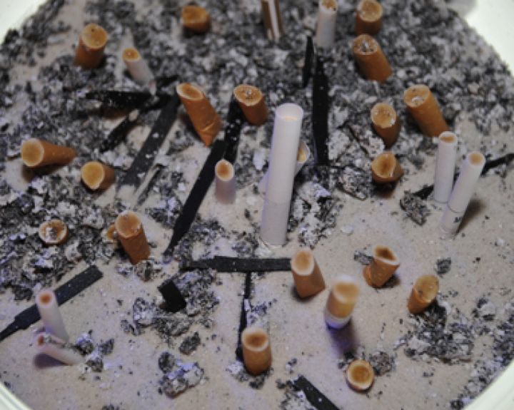 Sveikatos specialistė: 1 kaljano seansas prilygsta 100 cigarečių 