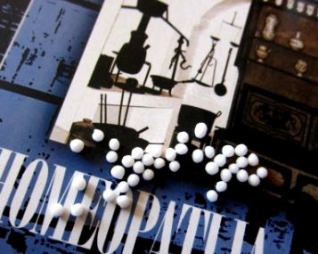Homeopatinis detektyvas: laukinės anties beieškant ir...