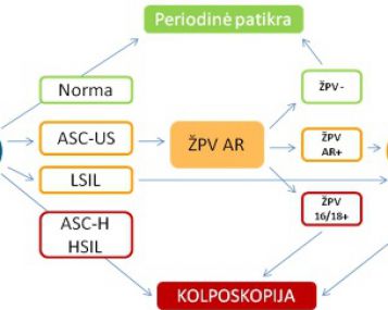 Išsamus gimdos kaklelio ikivėžinių būklių tyrimas: vienas mėginys – trys testai 
