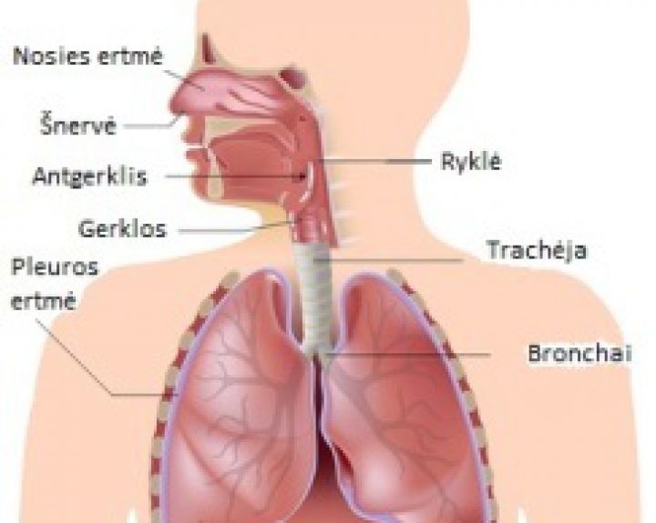 Krenkštimas ir kąsnio pojūtis gerklėje 