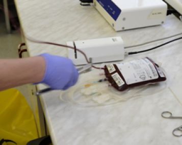 Europoje prasidėjo Vakarų Nilo karštligės sergamumo sezonas 