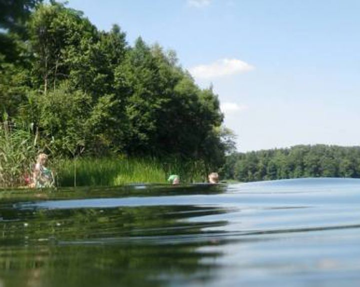 Pirmoji pagalba. Tai, ką turime gebėti visi 