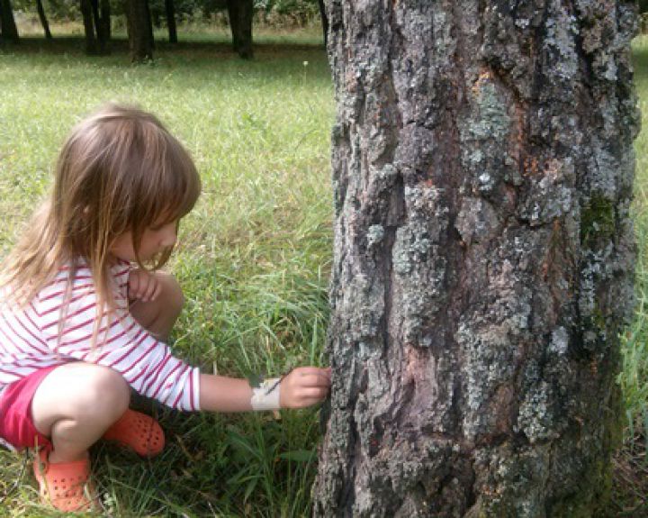 Vaikų sveikatos metais - vaikus į gamtos darželius judėti gryname ore   