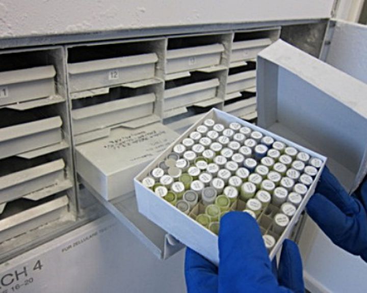 Biobankai – pirmas ir didelis žingsnis į individualizuotą mediciną