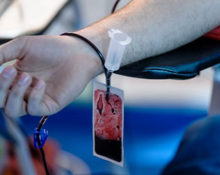 Santariškių klinikų kaulų čiulpų transplantacijos centras prilygsta pažangiausiems Europos medicinos centrams 