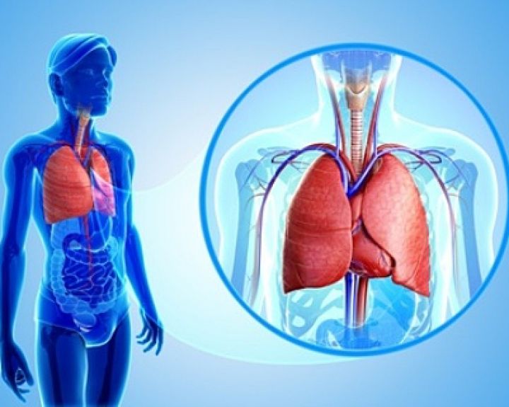 Tarptautinė tuberkuliozės diena primena apie ligą, pavojingą kiekvienam