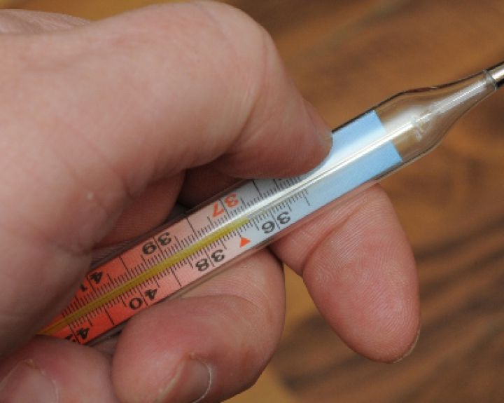 Gripo epidemija plinta. Kaip išvengti šios virusinės infekcijos