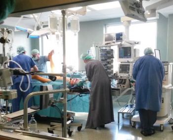 Medikų algų klausimas – tik ledkalnio viršūnė
