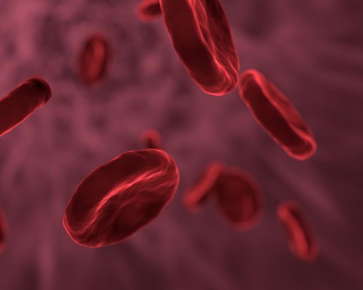 Į Lietuvą – pasisemti patirties, kaip įveikti hepatitą C