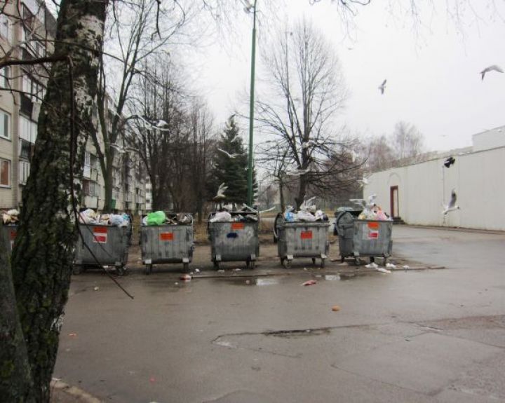 Vilniuje iškilo reali grėsmė žmonių sveikatai 