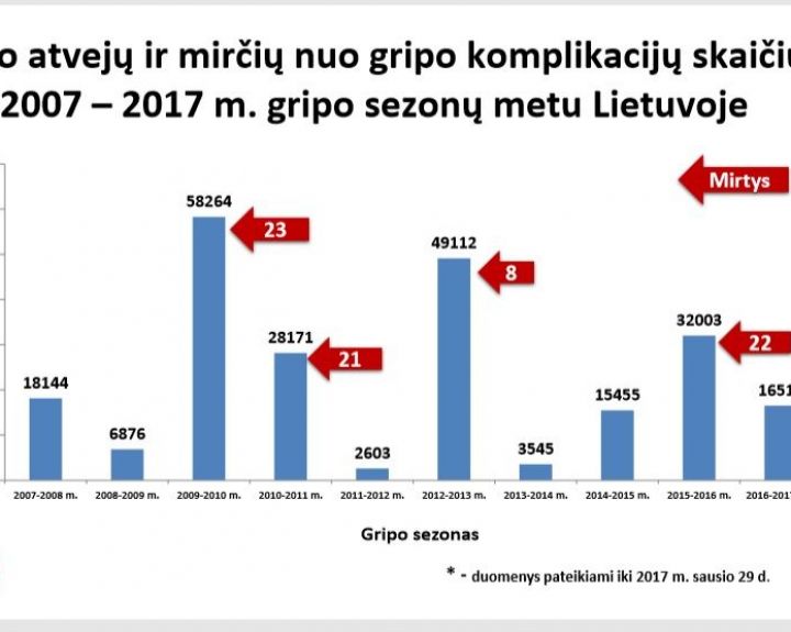 Prof. dr. S.Čaplinskas: visuomenė neįvertina gripo rizikos, nes mano, kad tai lengva liga