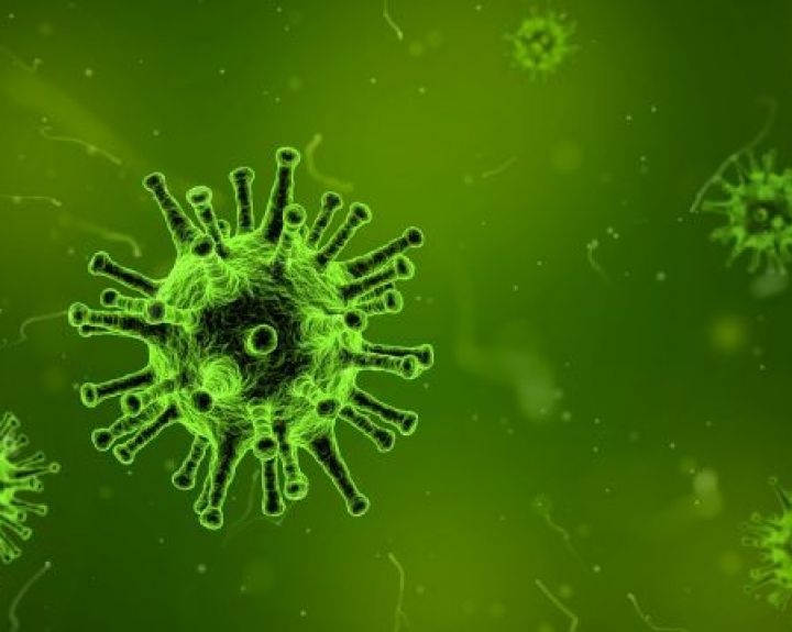 Nuo gripo epidemijų saugos ultravioletinių spindulių lempos 
