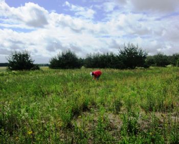 Erkės žmones renkasi pagal kvapą ir kūno skleidžiamą šilumą