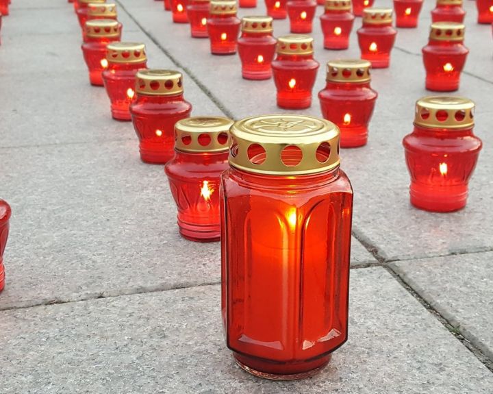 Organų donorai – žmonės, kurių dėka sukasi gyvybės ratas