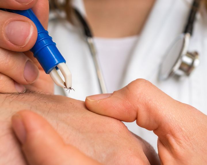 Apgaulinga Laimo liga dažnai  pasireiškia šaltuoju sezono metu