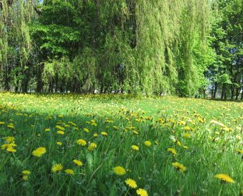 Vitaminų abėcėlė: kokius pasirinkti?